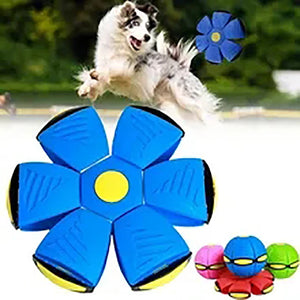 Pet Toy Flying Saucer Ball