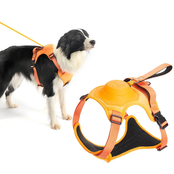 Dog Harness And Retractable Leash Set