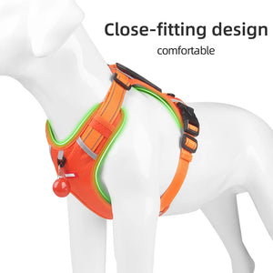 The Easy No-Pull Harness