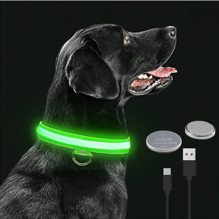 LED Flashing Dog Collar