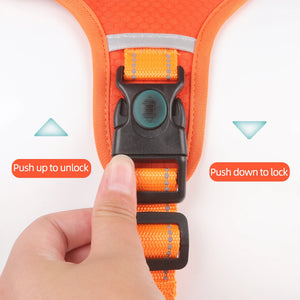 The Easy No-Pull Harness