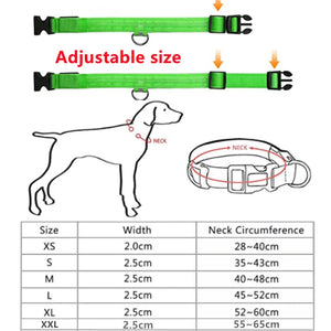 LED Flashing Dog Collar