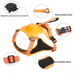 Dog Harness And Retractable Leash Set